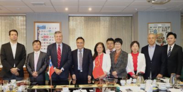 Equipo de Profesionales de la Academia de Ciencias de Jiangxi y representantes de ASOEX y el Comité del Kiwi de Chile