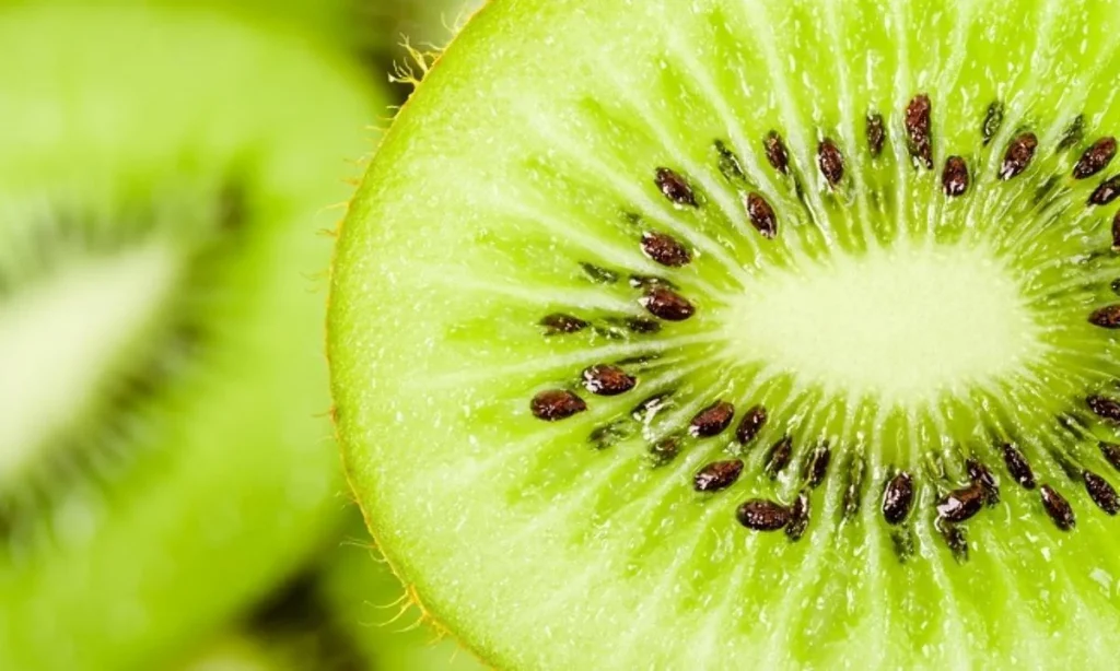 GREEN 146: El nuevo kiwi verde de Zespri podría elevar el estándar global y desafiar a Hayward en sus estándares
