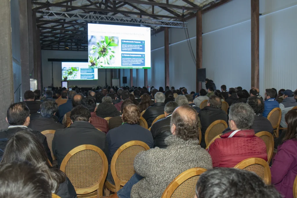 Cerezas y kiwis ponen el foco en calidad y consistencia: Claudia Soler y Carlos Cruzat marcan los desafíos futuros para estas frutas de exportación